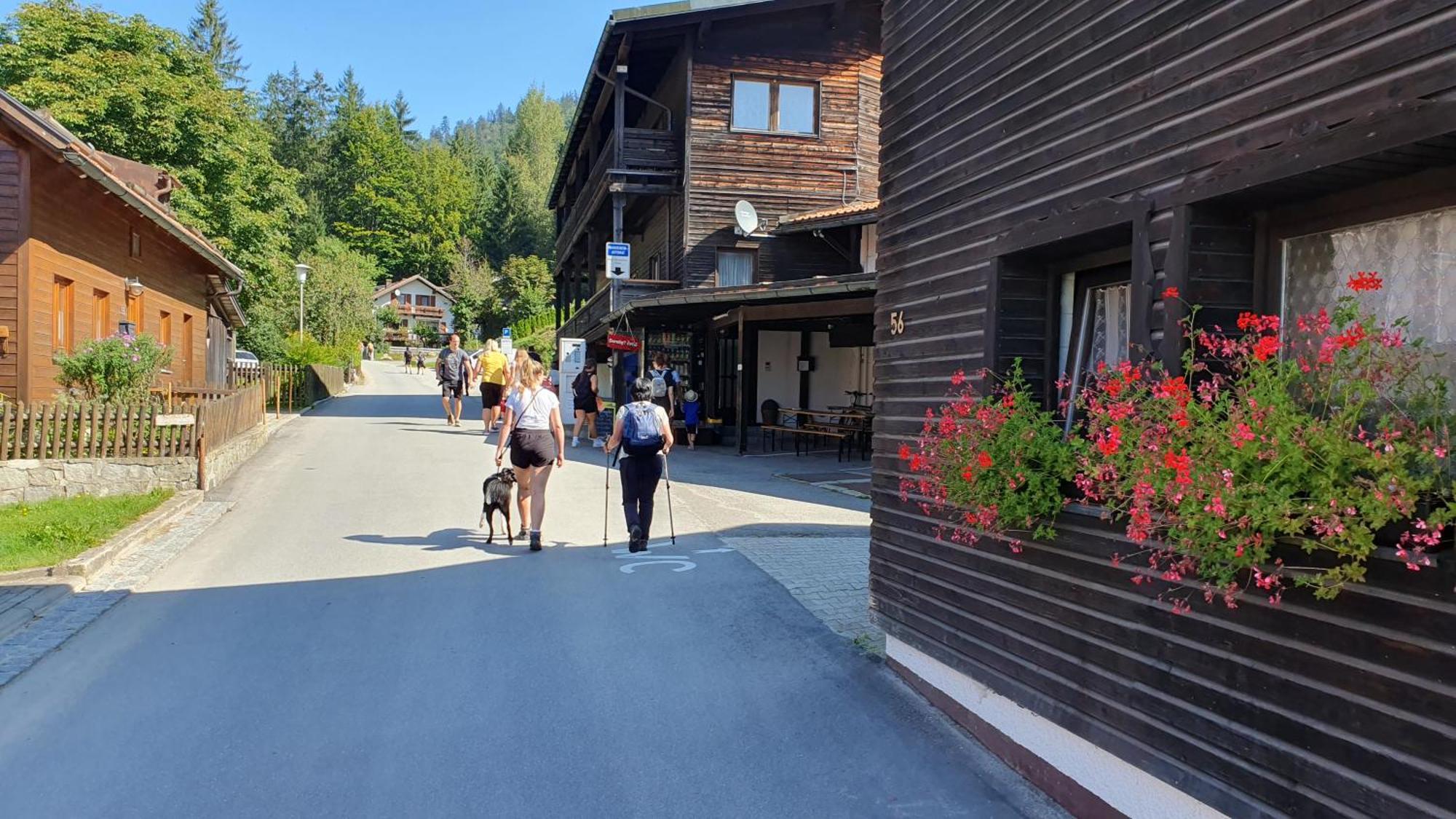 Hotel Waldhaus Bodenmais Dış mekan fotoğraf