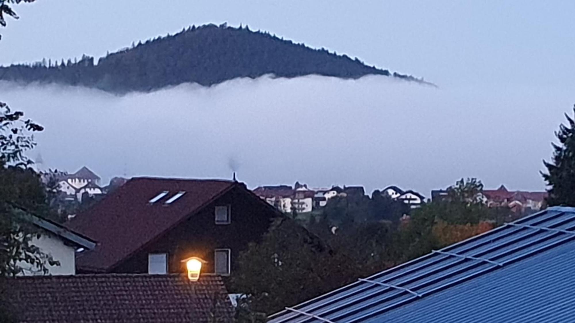 Hotel Waldhaus Bodenmais Dış mekan fotoğraf