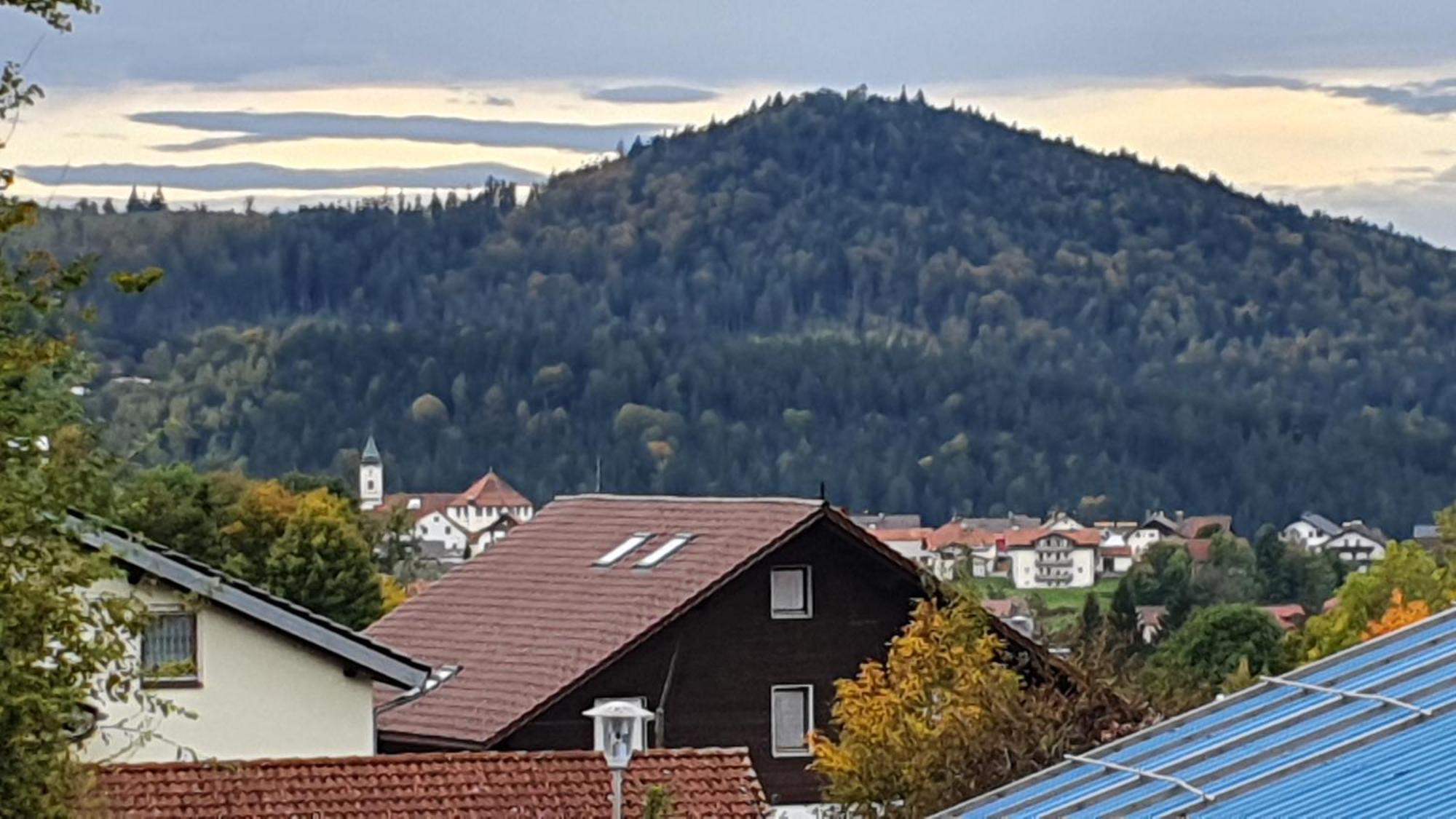 Hotel Waldhaus Bodenmais Dış mekan fotoğraf